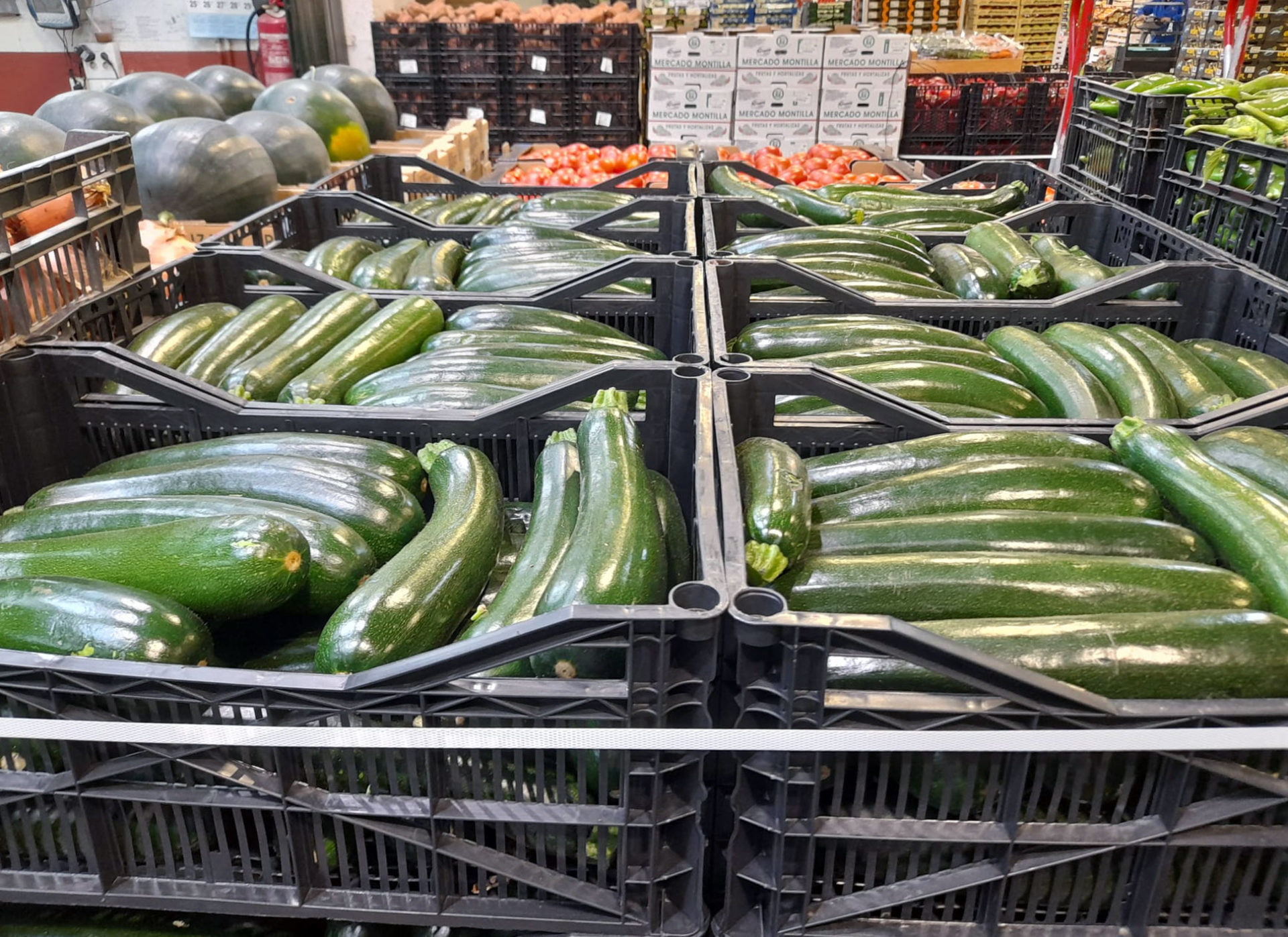 Comprar frutas y verduras al por mayor - Frutas Calero