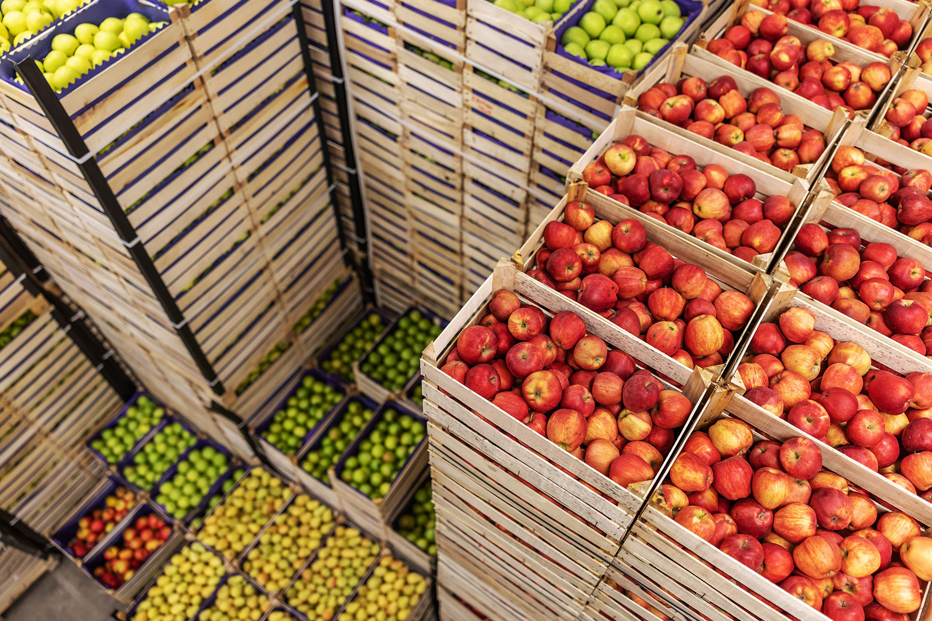 Proveedores de frutas y verduras al por mayor en Sevilla, situados en Mercasevilla. Proveedores de frutas y verduras de temporada en Sevilla